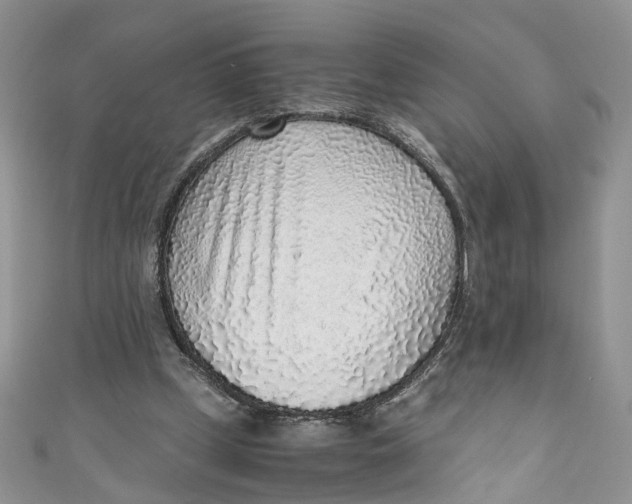 X0000110910249200907091442