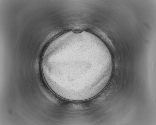 X0000110910250200907091442