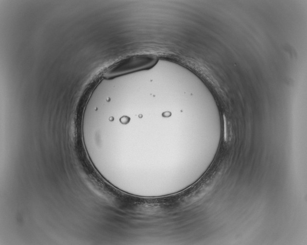 X0000110910252200907091442