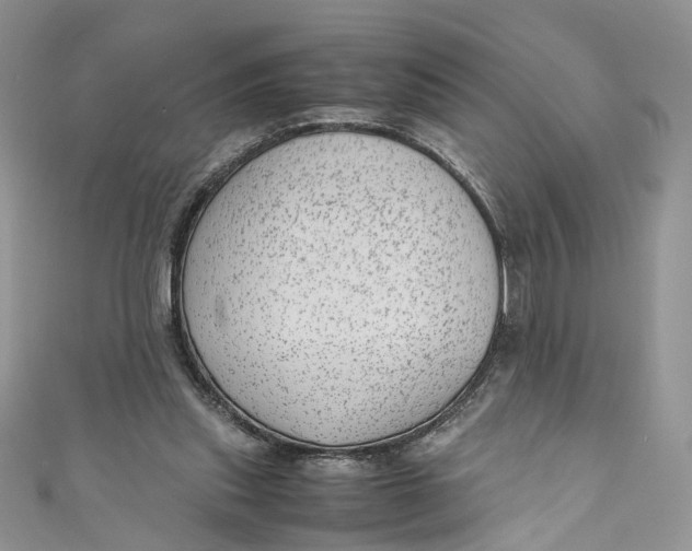 X0000110910253200907091442