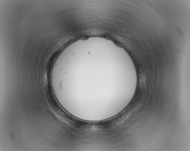 X0000110910254200907091442