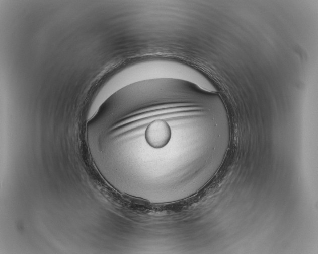 X0000110910256200907091442