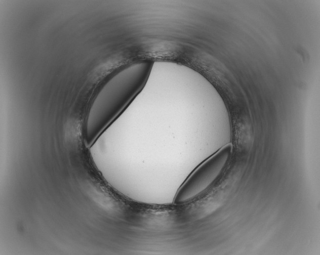 X0000110910260200907091442