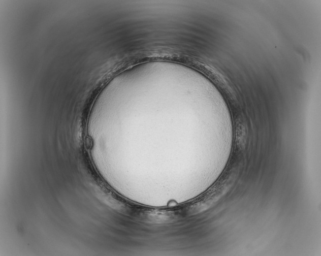 X0000110910261200907091442