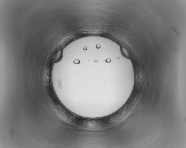 X0000110910264200907091442