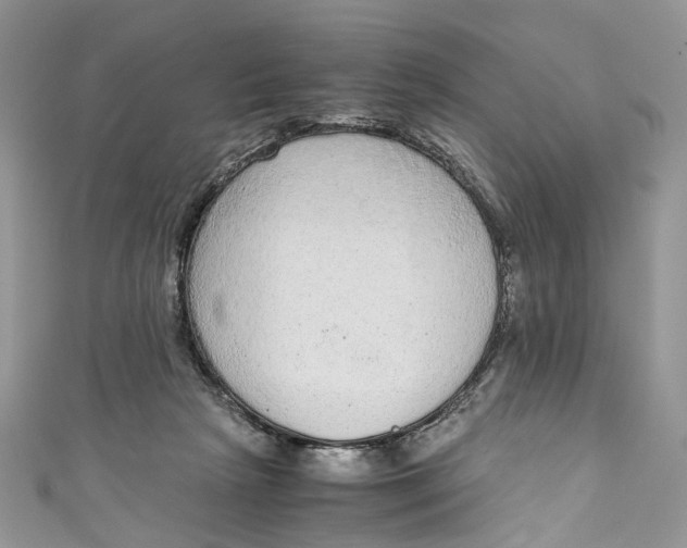 X0000110910265200907091442