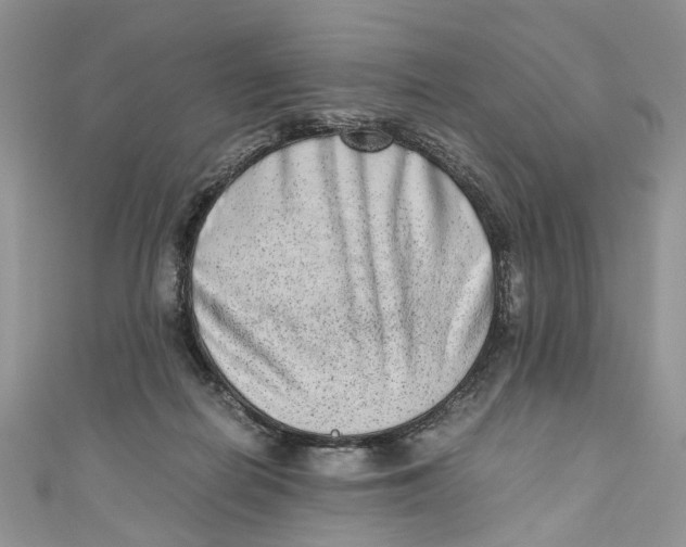 X0000110910266200907091442