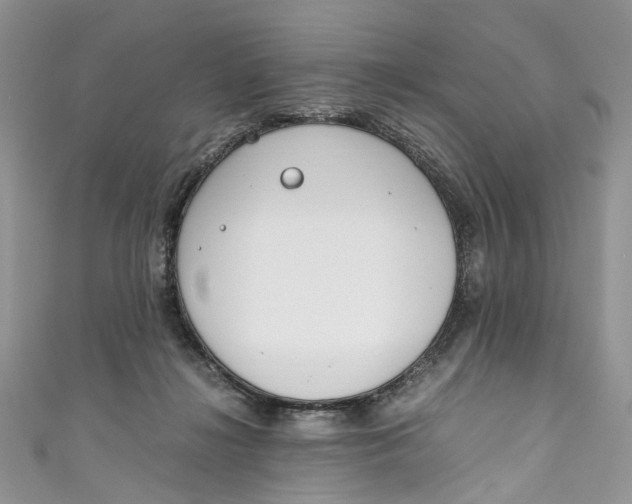 X0000110910268200907091442