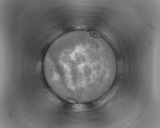 X0000110910269200907091442