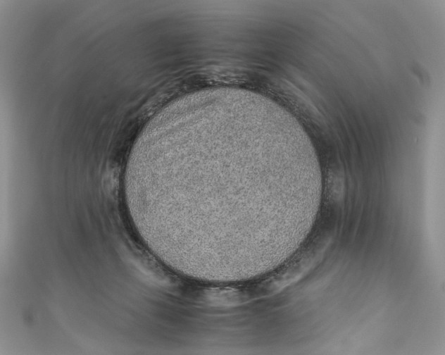 X0000110910271200907091443