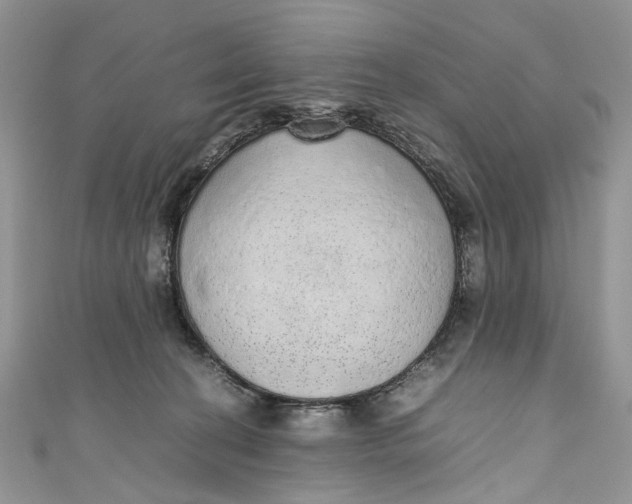 X0000110910274200907091443