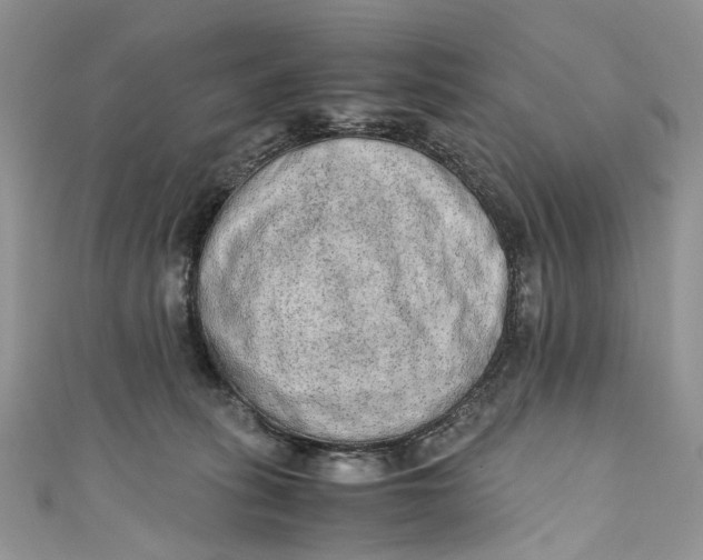 X0000110910275200907091443