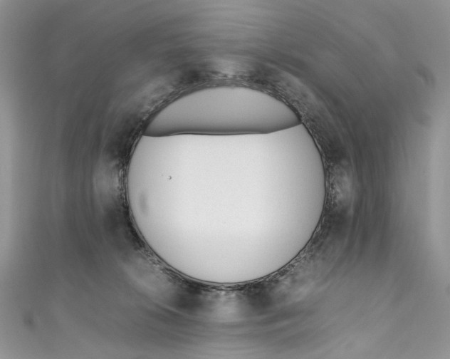 X0000110910276200907091443