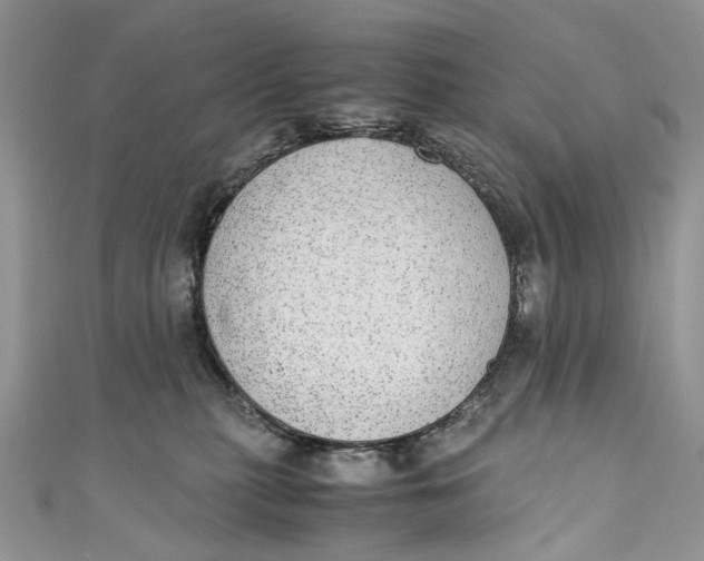 X0000110910279200907091443