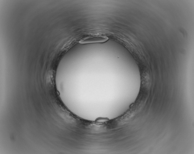 X0000110910280200907091443