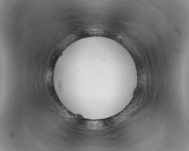 X0000110910281200907091443