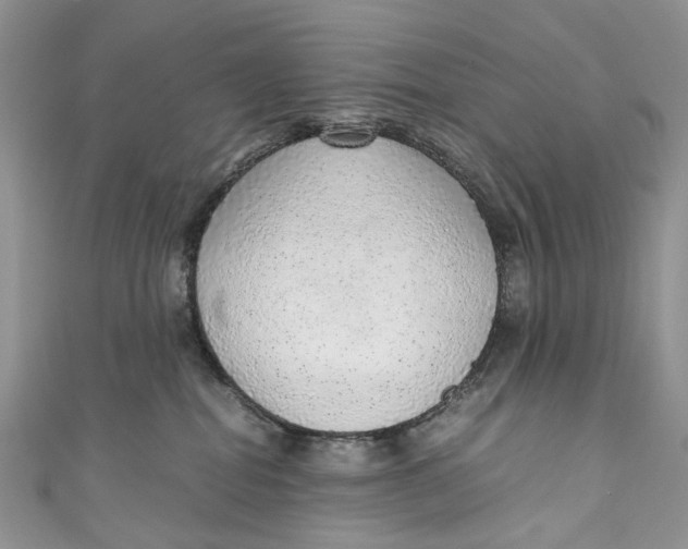 X0000110910282200907091443