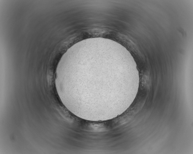 X0000110910283200907091443