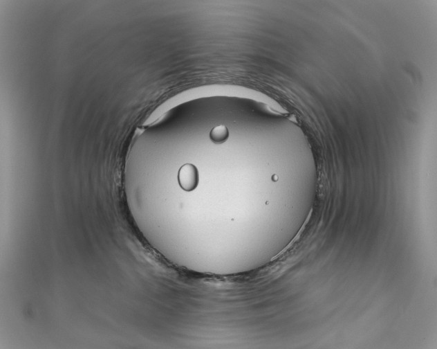 X0000110910284200907091443