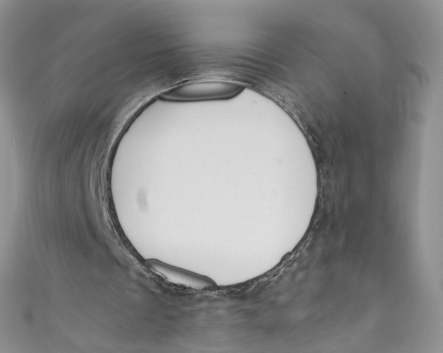 X0000110910289200907091442