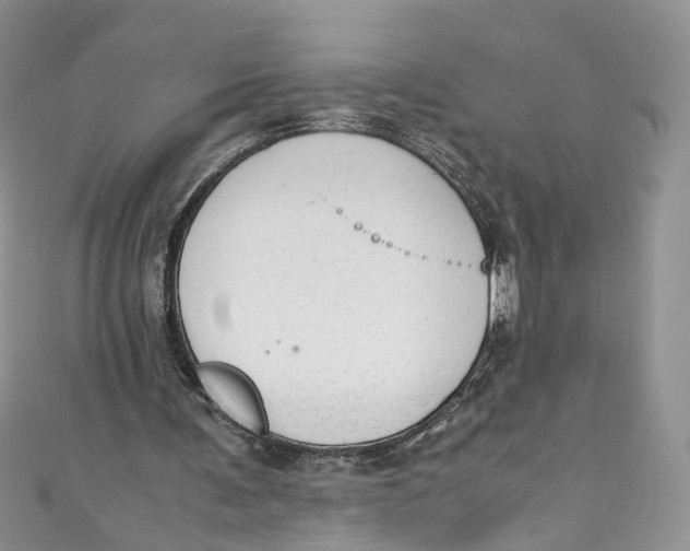 X0000110910291200907091442