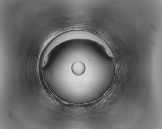 X0000110910292200907091442