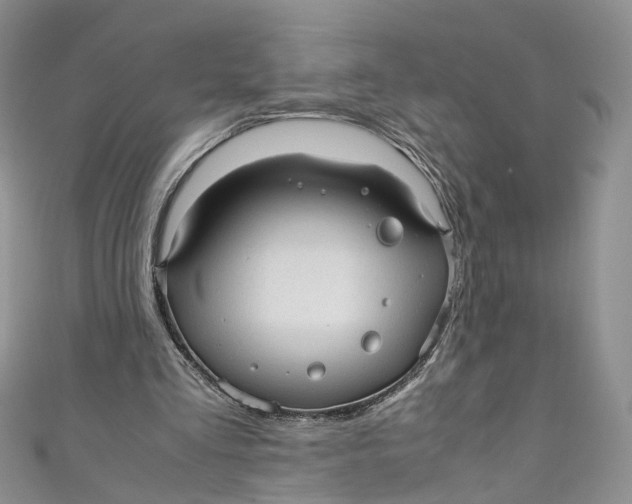 X0000110910293200907091442