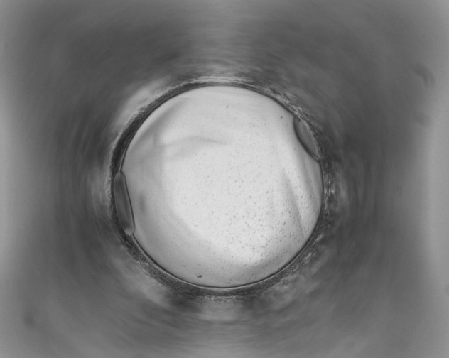 X0000110910296200907091442