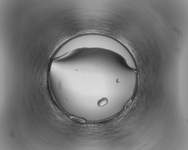 X0000110910297200907091442