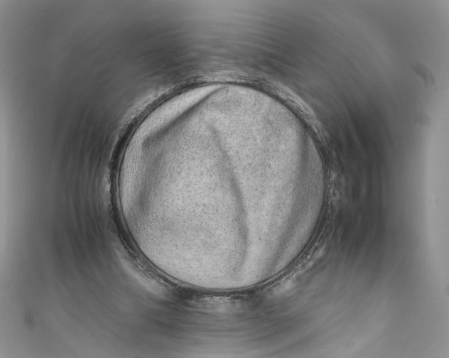 X0000110910298200907091442