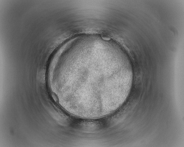 X0000110910299200907091442