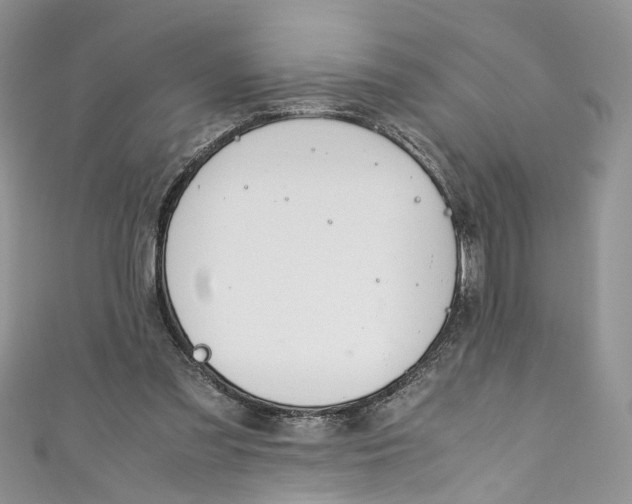 X0000110910301200907091442