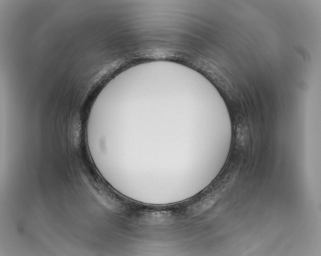 X0000110910304200907091442