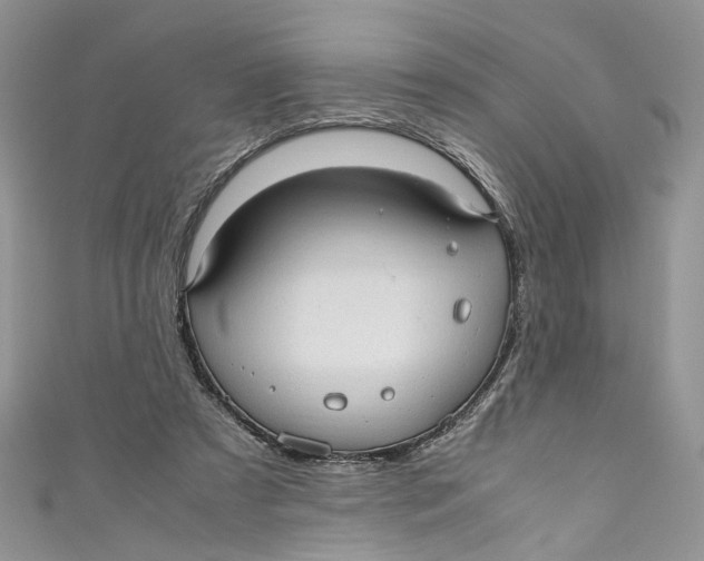 X0000110910305200907091442