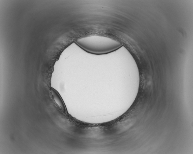 X0000110910307200907091442