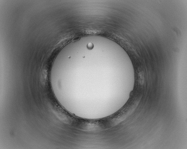 X0000110910308200907091442