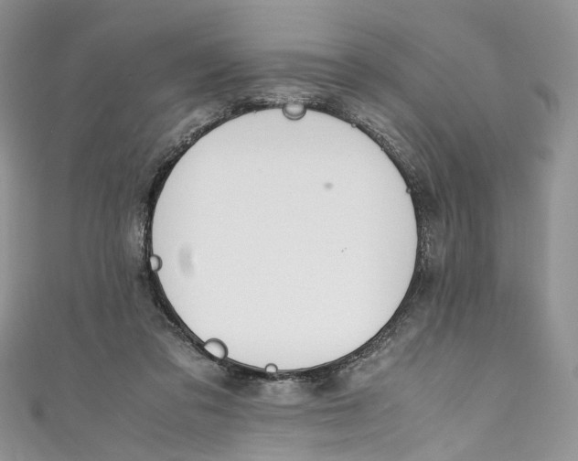 X0000110910309200907091442