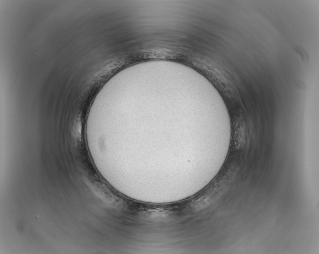 X0000110910310200907091442