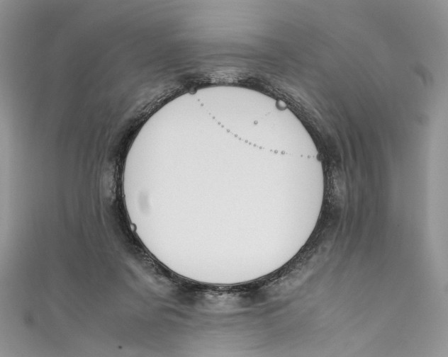 X0000110910311200907091442