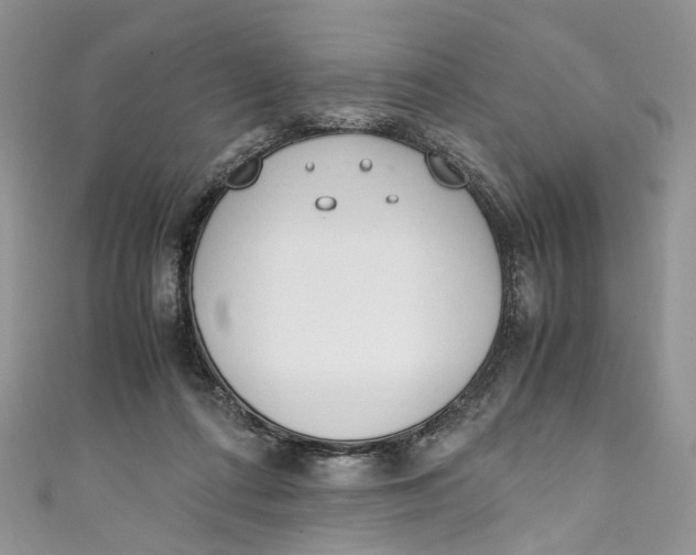 X0000110910312200907091442