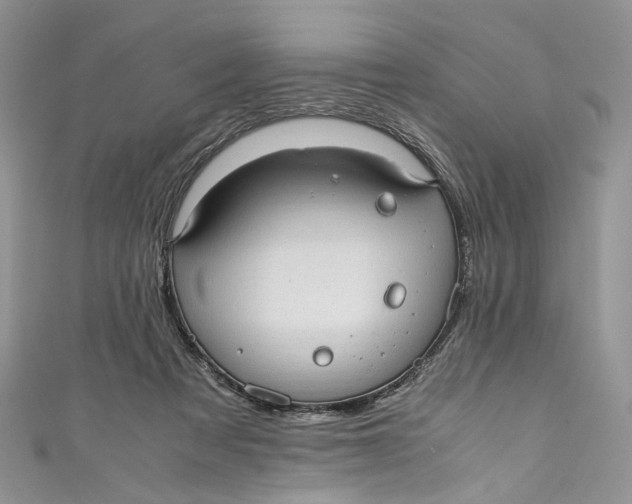 X0000110910313200907091442