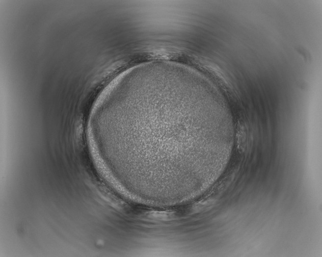 X0000110910314200907091442