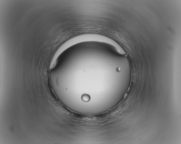 X0000110910317200907091442