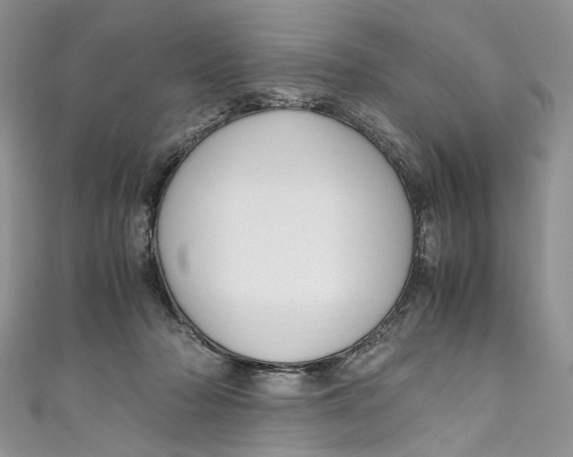 X0000110910318200907091442