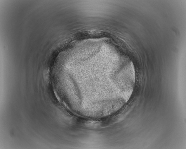 X0000110910319200907091442