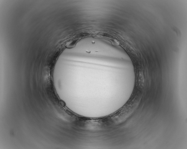 X0000110910320200907091442