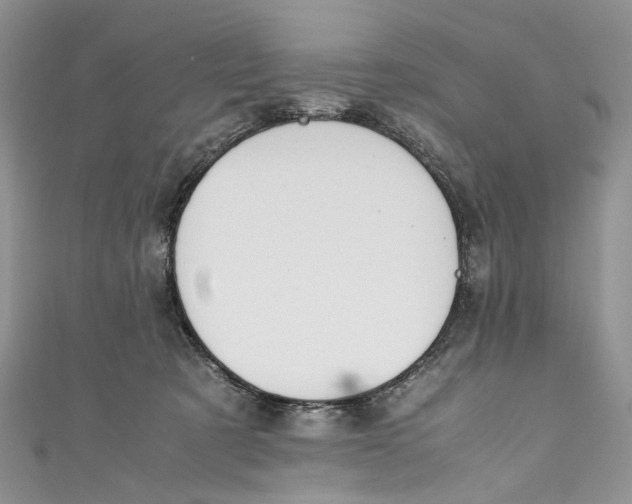 X0000110910321200907091442