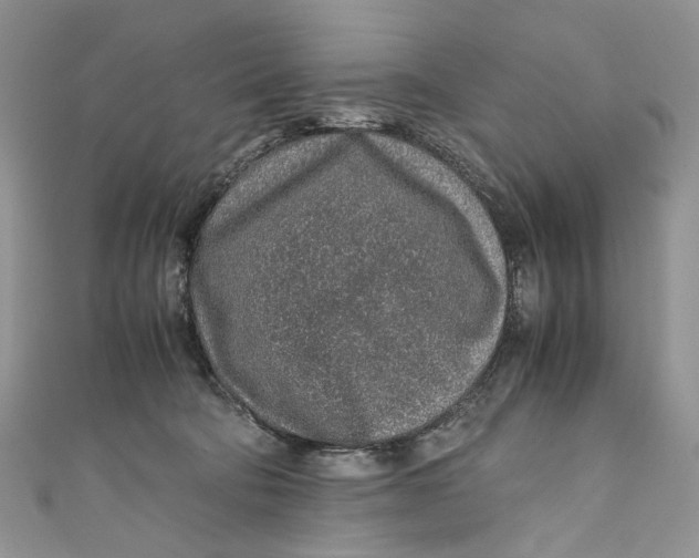 X0000110910322200907091442