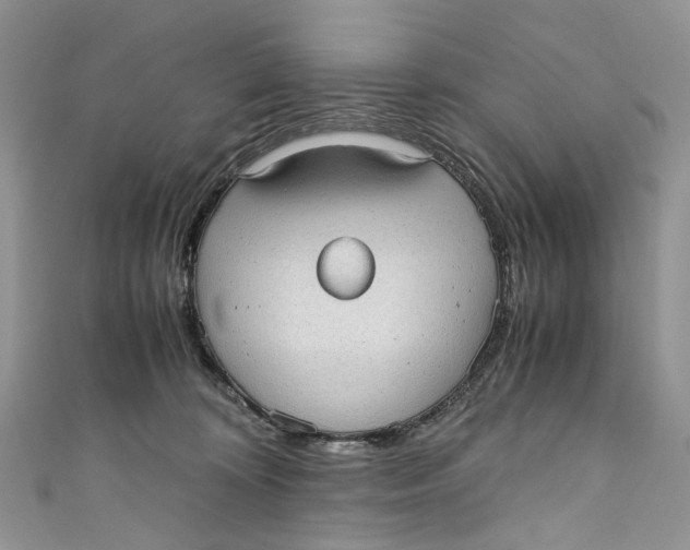 X0000110910324200907091442