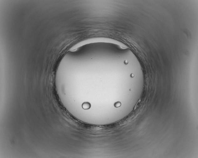 X0000110910325200907091442